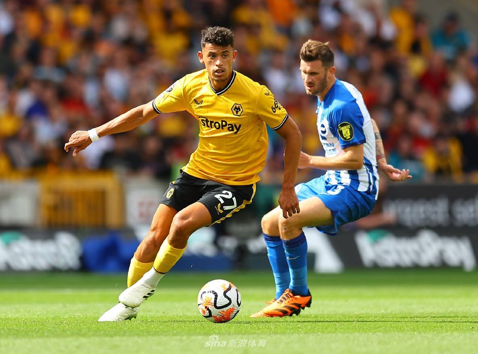 希望在接下 希望在接下